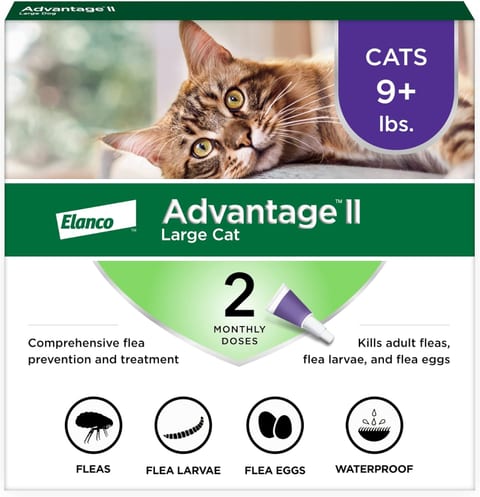Advantage II Large Cat Vet-Recommended Flea Treatment & Prevention |