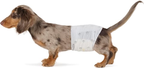 Amazon Basics Absorbent, Leakproof Male Dog Wrap Disposable Diapers