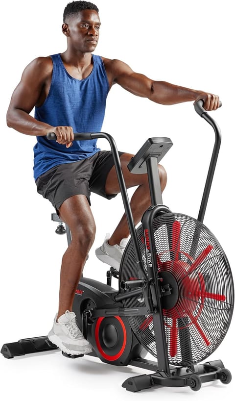 Assault AirBike Classic