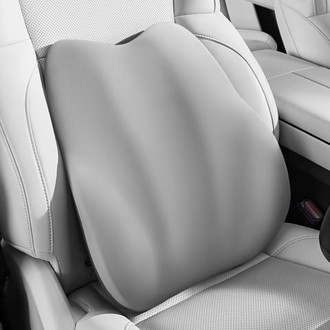 BEBAS Lumbar Support Pillow for Car, Memory Foam Back Cushion for Driving