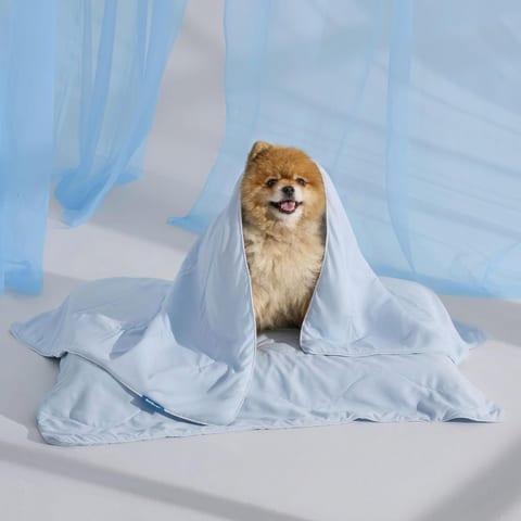 Bedsure Cooling Blanket for Small Dogs Breathable Throw Q-MAX>0.4