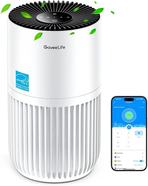 GoveeLife Smart Purifier