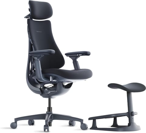 Herman Miller Mirra Chair