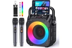 Karaoke Machine, Portable Bluetooth Speaker with 2 Wireless