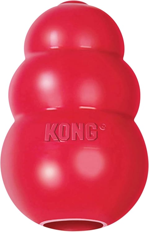 KONG Classic Dog Chew Toy Large