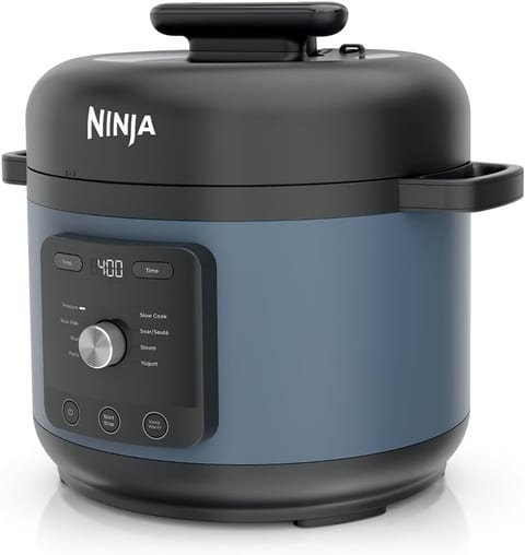 Ninja Foodi 9 In 1 Pressure Cooker