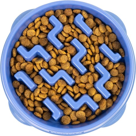 Outward Hound Fun Feeder Slow Feed Bowl