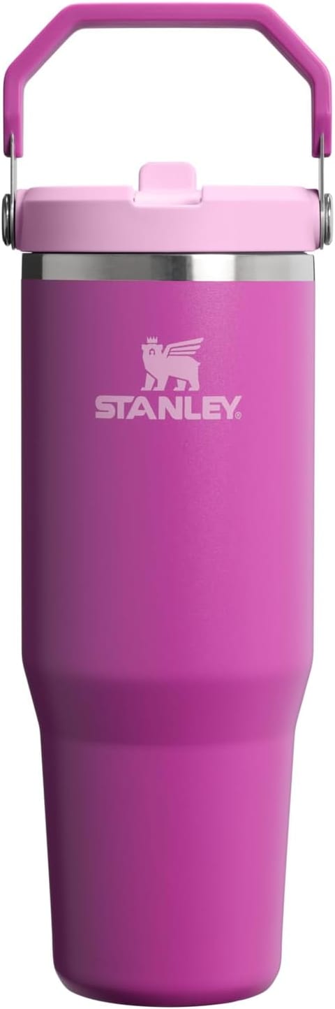 STANLEY IceFlow 2.0 Flip Straw Tumbler, 30 oz, Dark Blossom | Easy